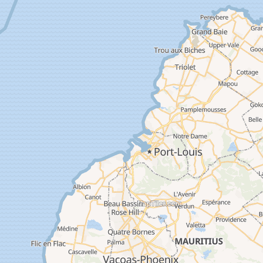 Fleuriste Stapelle Ltd, Port Louis (2111907 or 57 24 22 87)